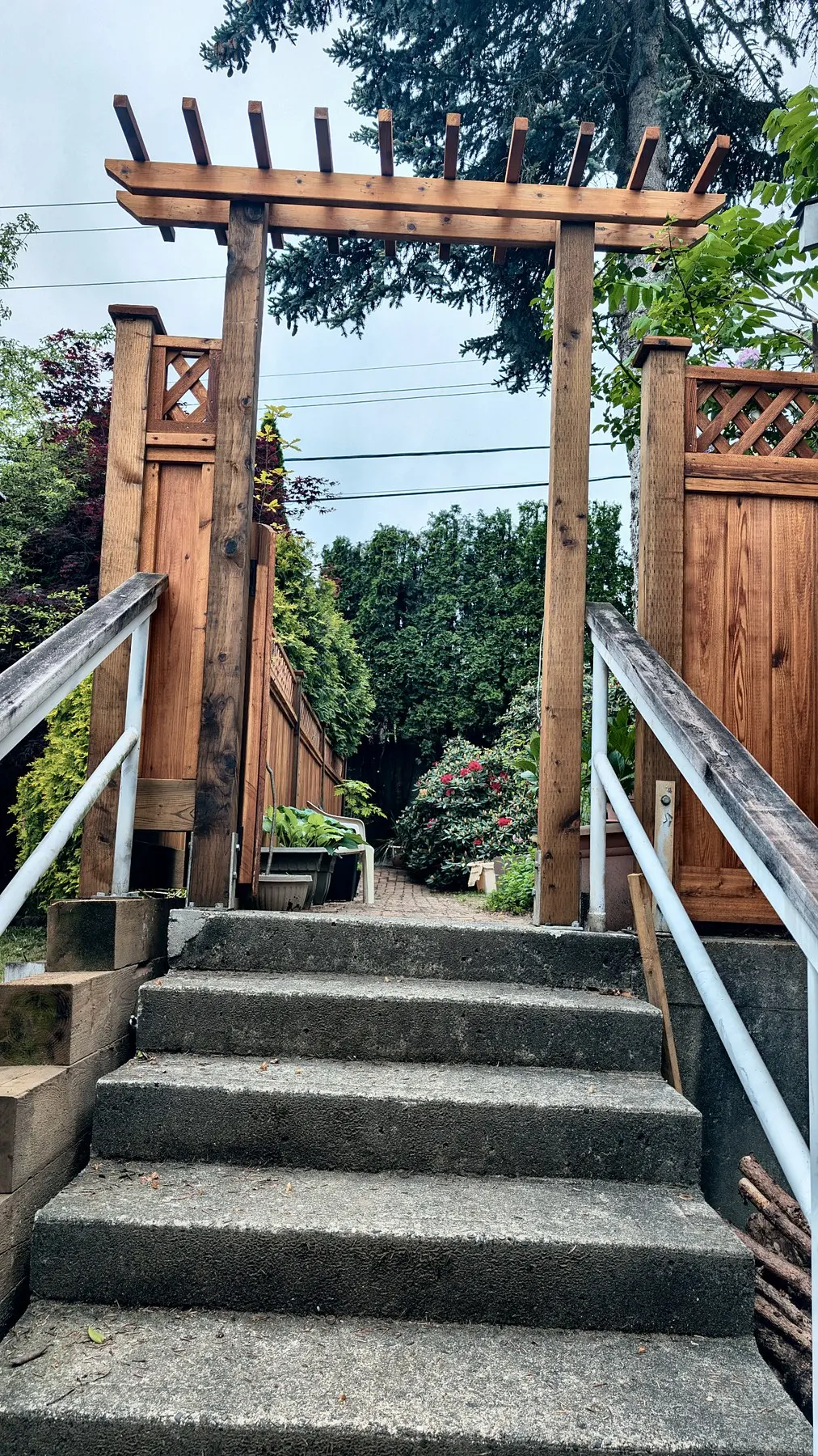 The cedar arbor over the entry stairs