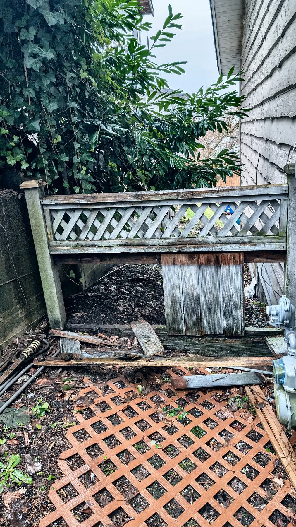 The old fence, before