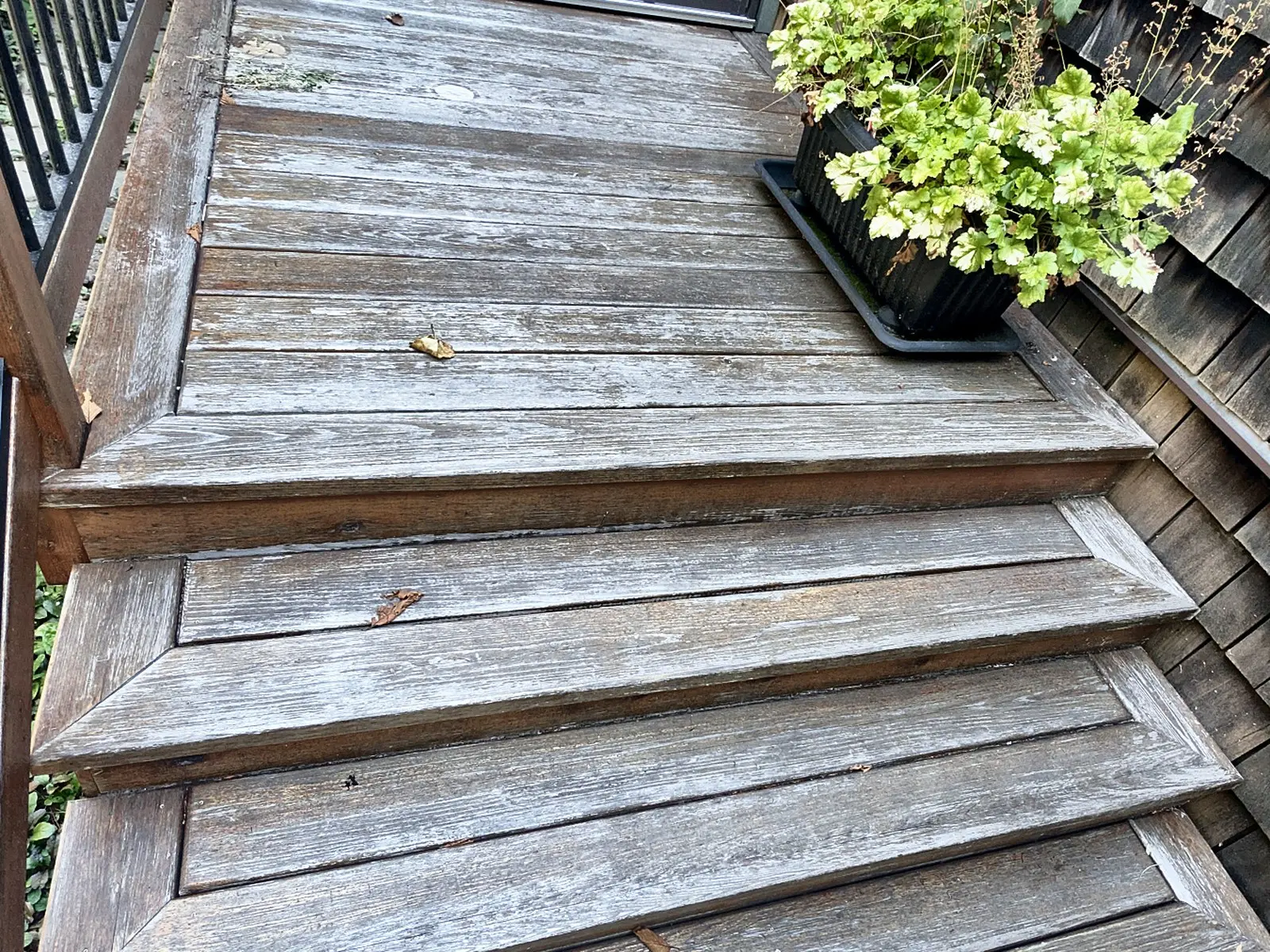 Before: Cedar stairs, fence and custom gate, Champlain Heights, Vancouver