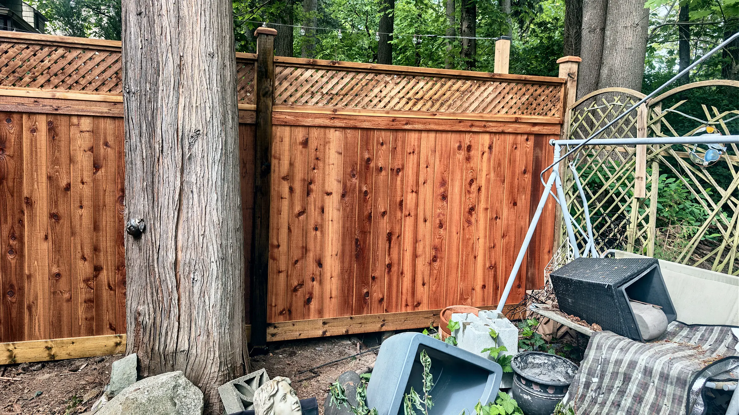 The lattice-top cedar fence from the yard