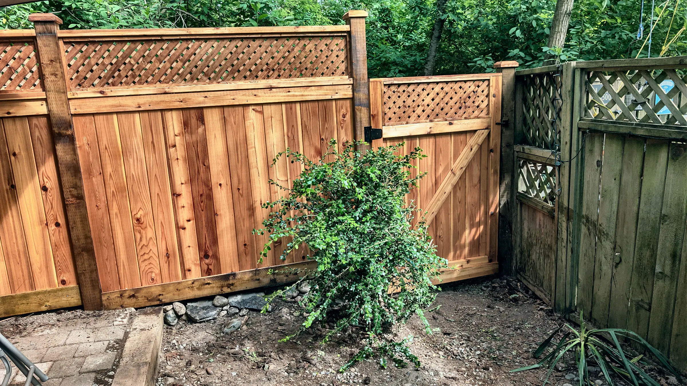 Custom cedar gate set into a lattice-top fence, Champlain Heights