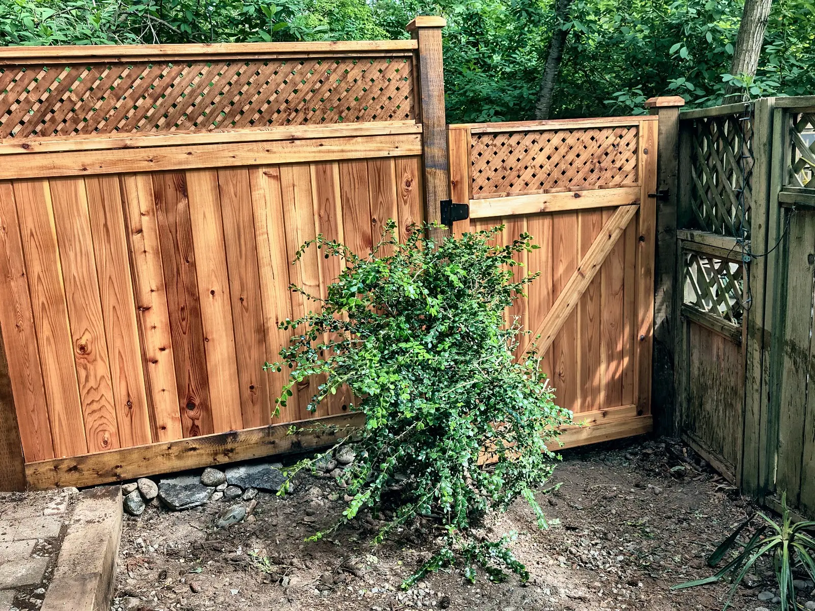 After: Cedar stairs, fence and custom gate, Champlain Heights, Vancouver