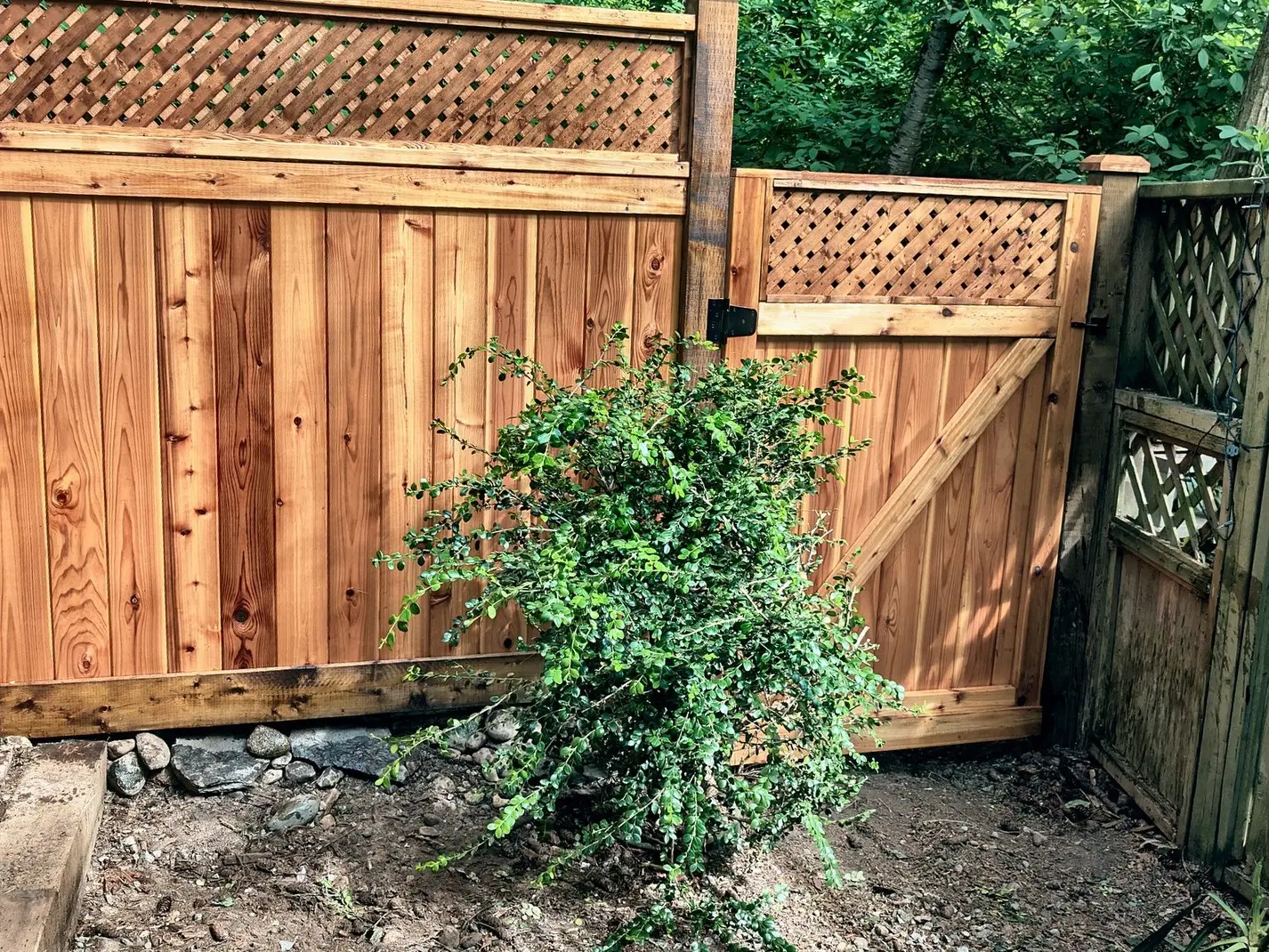 After: lattice-top cedar fence and gate in Champlain Heights