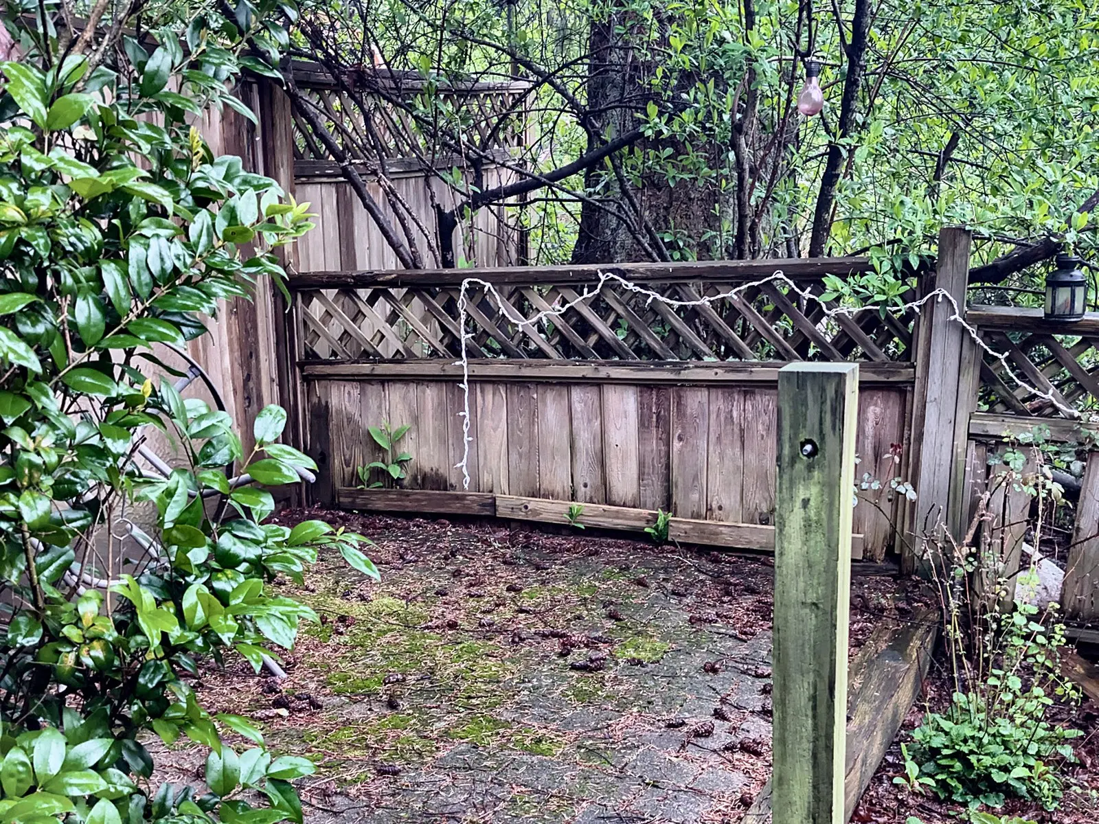 Before: Cedar stairs, fence and custom gate, Champlain Heights, Vancouver