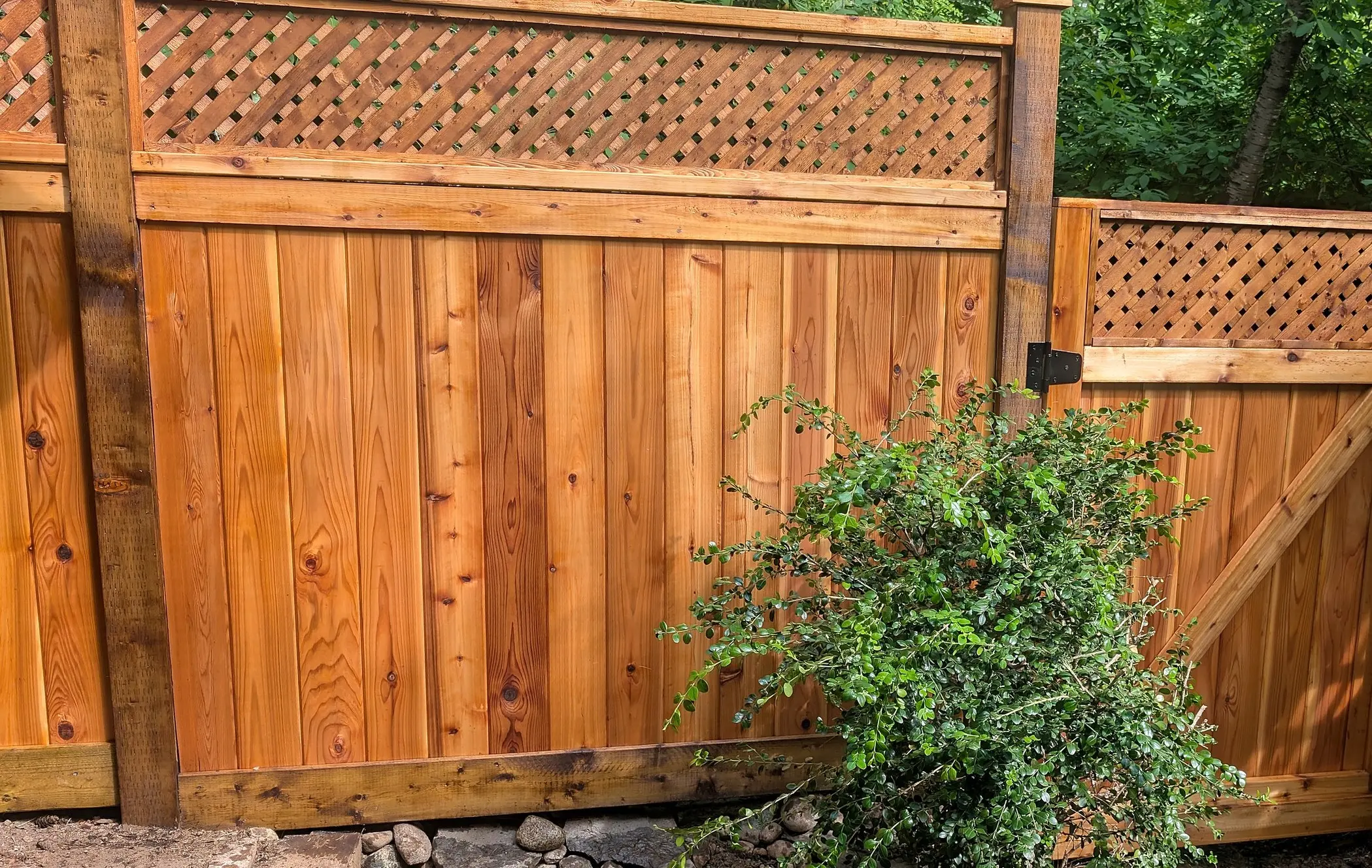 Stained lattice-top cedar fence and matching gate in Champlain Heights, Vancouver