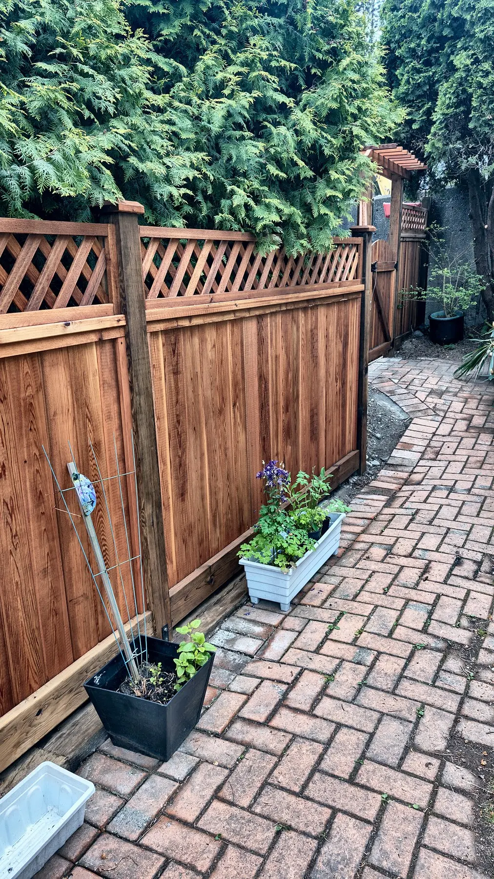 The lattice-top fence along the brick path