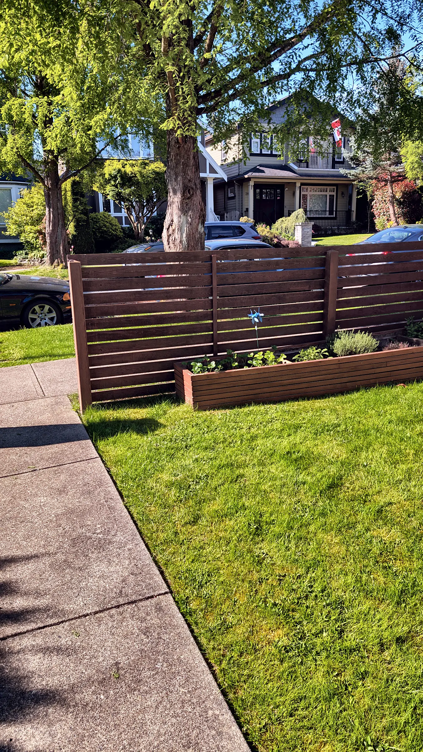 The old low cedar fence, before
