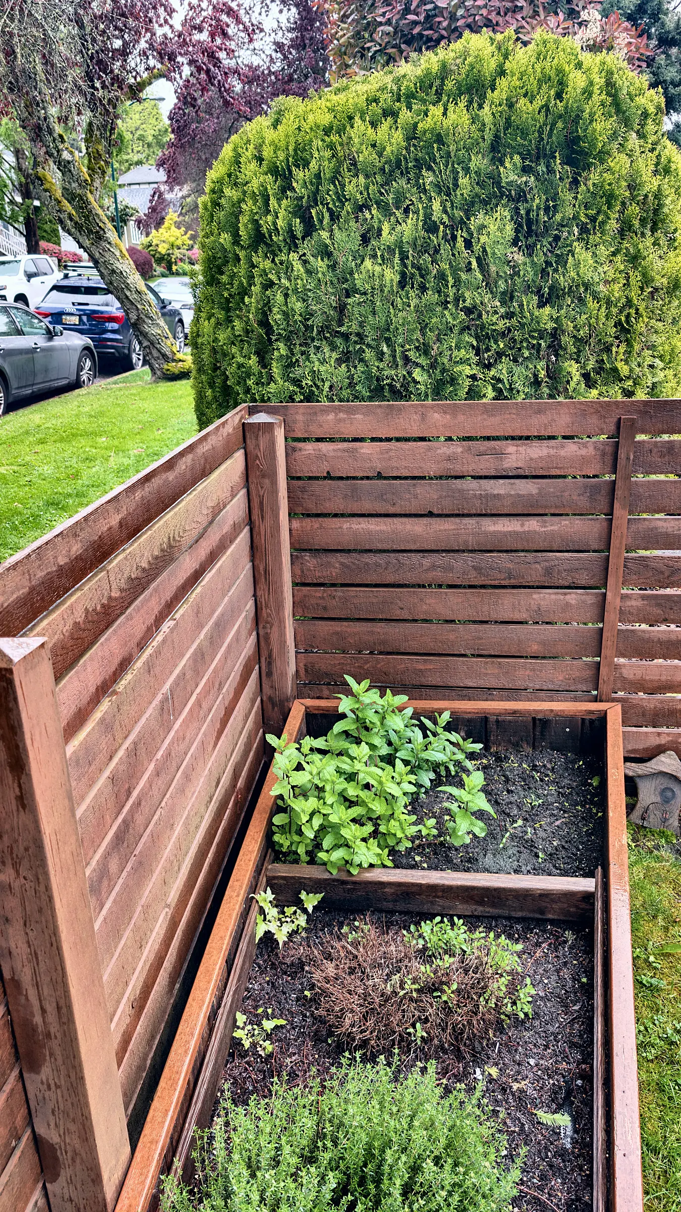 The old planter screen, before