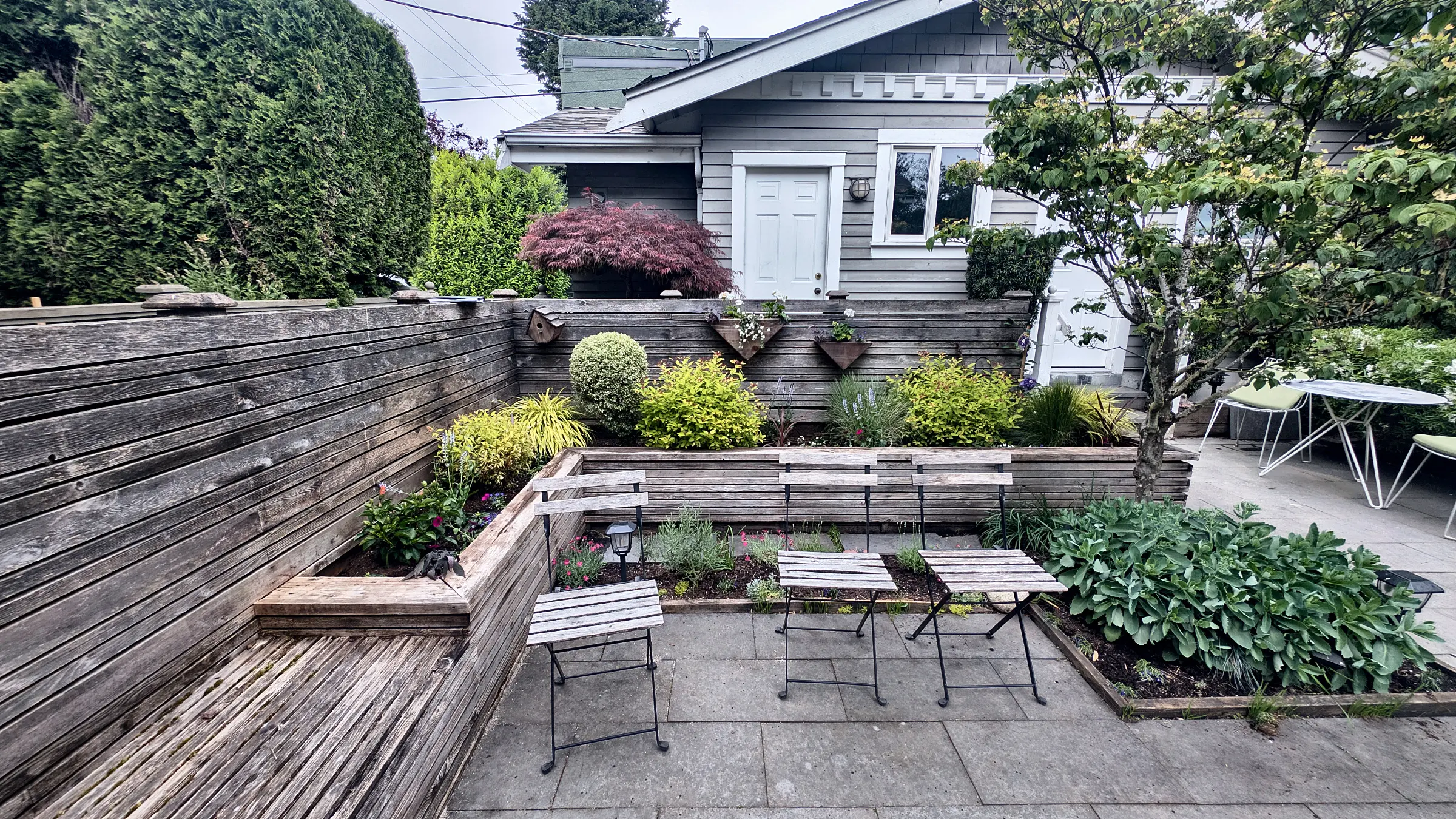 The yard before we started